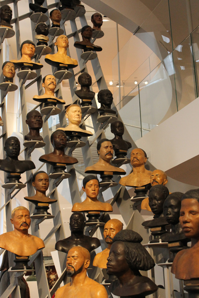 19th Century Models of Racial Types